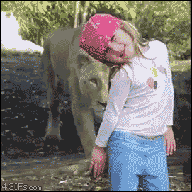 A Collection of Sweet, Silly and Funny Moments at the Zoo