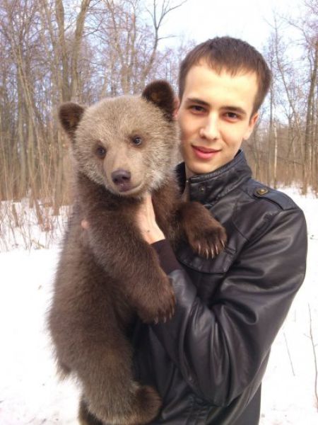 Bears Often Walk the Streets in Russia