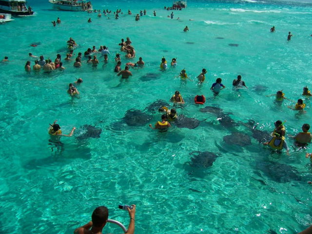 Sting Ray City Is a Stunning Tourist Attraction