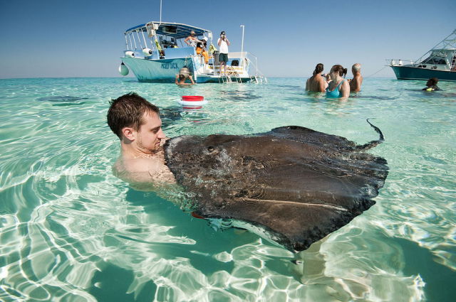 Sting Ray City Is a Stunning Tourist Attraction