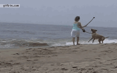 People Who Are Just Not Fit for the Beach (24 gifs) 