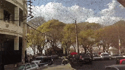 Madagascar Is Plagued by Swarms of Locusts