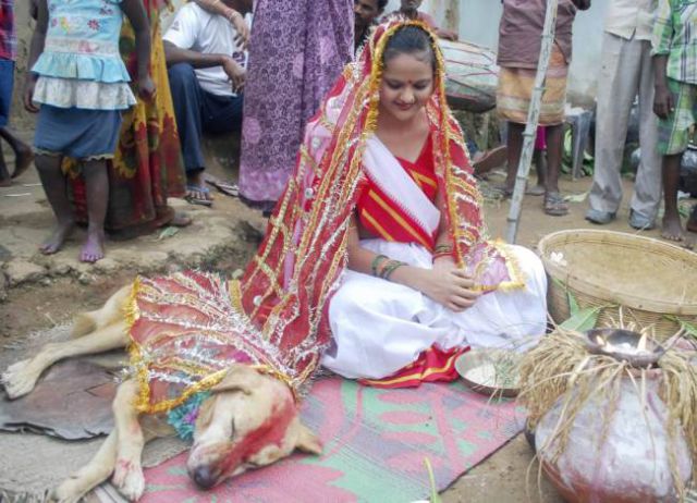 The Oddest Wedding in the World