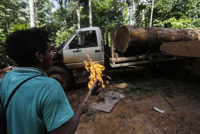 Amazonian Citizens Fight Back Against Loggers
