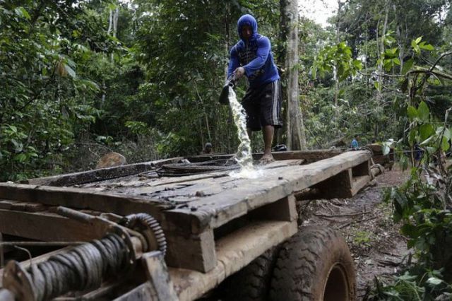 Amazonian Citizens Fight Back Against Loggers