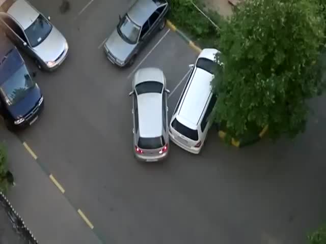 Two Women in a Parking Lot...  (VIDEO)