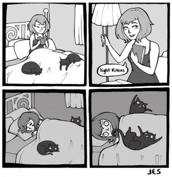 Cat Lovers Will Totally Get This!