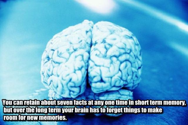 Time to Get Some Knowledge about Your Brain