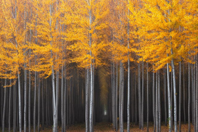 Stunning Photos of Different Places in Autumn