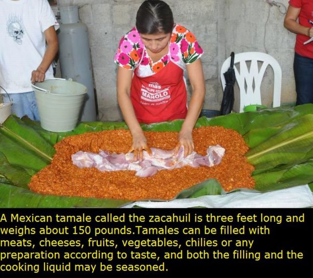 Things You Didn’t Know about Mexico