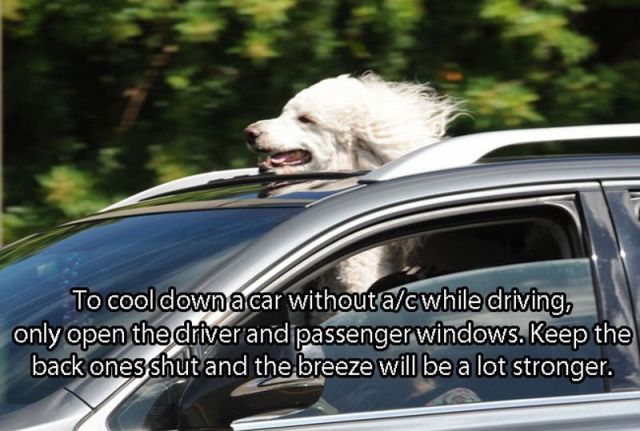 Great Tricks To Remember When Driving
