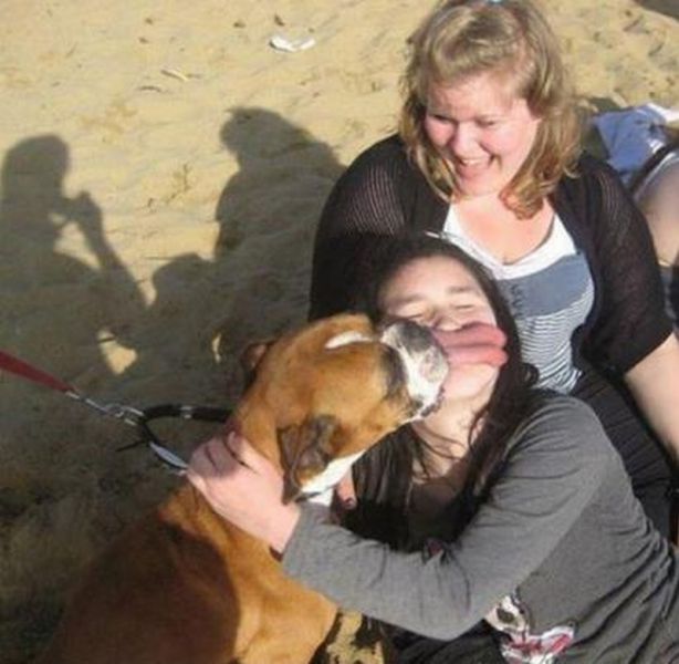 Dogs Who Have Impeccable Timing