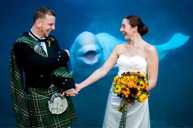 The Best Wedding Photobombs Ever