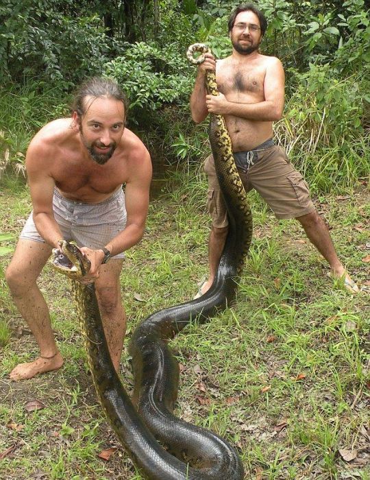 Guy Catches a Massive Anaconda Snake While Fishing