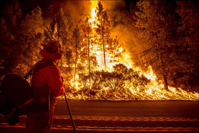 Devastating Forest Fires Wreak Havoc in California