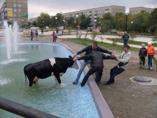 Some Things Only Makes Sense in Russia