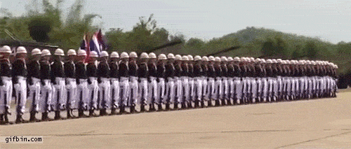 GIFs That Will Completely Captivate You