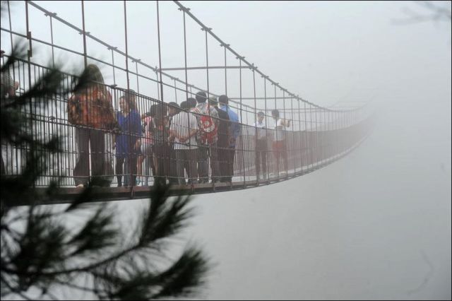 A Bridge Designed for Those with a Sense of Adventure