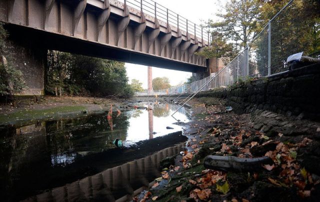 Dirty London Canal Is Also Home to a Giant Carp