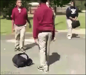 Great GIFs That Will Definitely Amuse You