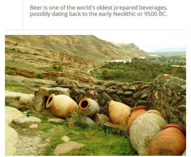 Trivia to Up Your Knowledge about Beer