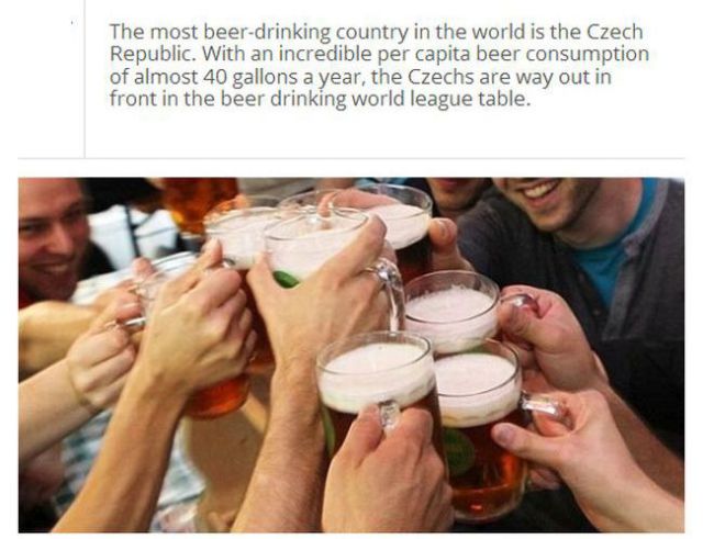 Trivia to Up Your Knowledge about Beer