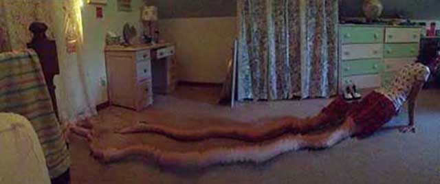 Panaroma Photo Fails That Are Just Excellent