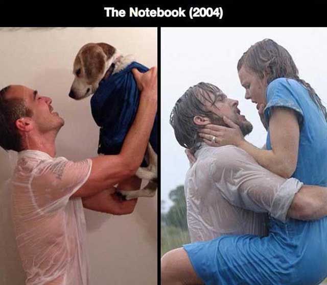 Man and Dog Recreate Romantic Movie Scenes