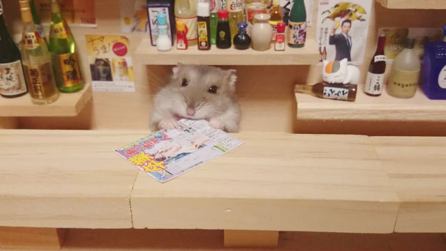 Bartending Hamsters Are One of the Cutest Things Ever
