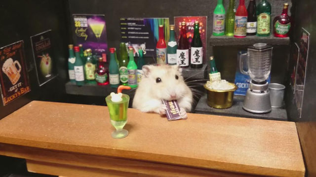 Bartending Hamsters Are One of the Cutest Things Ever