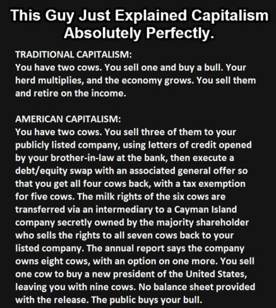 Capitalism Explained in a Nutshell