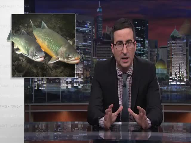 John Oliver Shoots Salmon at Celebrities  (VIDEO)