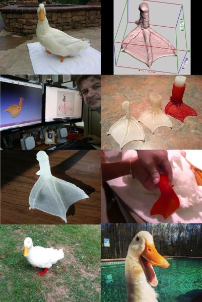 Awesome Examples of 3D Printing in Practice