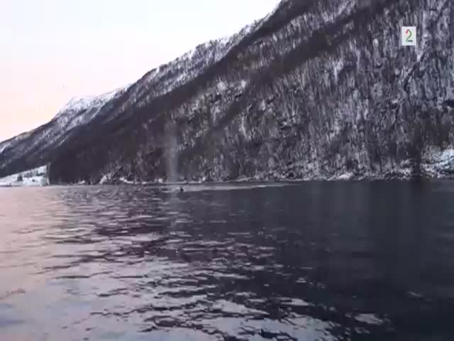 Two Men on a Boat Get Surrounded by 6 Huge Humpback Whales 