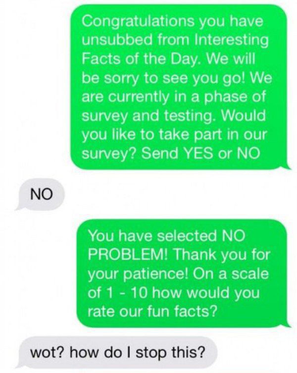 A Brilliant Troll on a Text Spammer