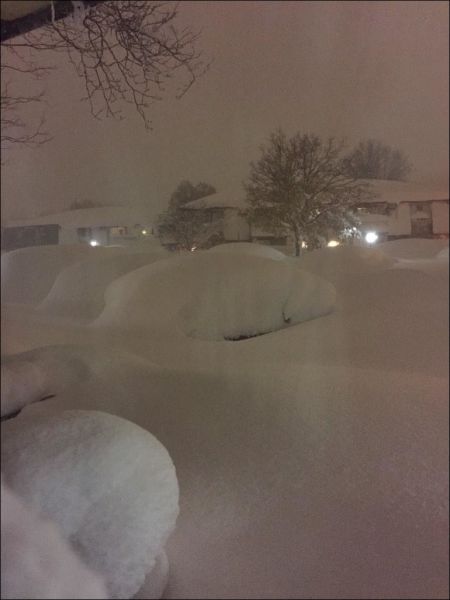 Snow Drowns Buffalo City, New York