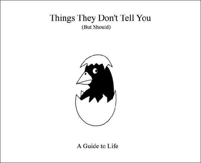 The Most Realistic Guide to Life That You Will Ever Read
