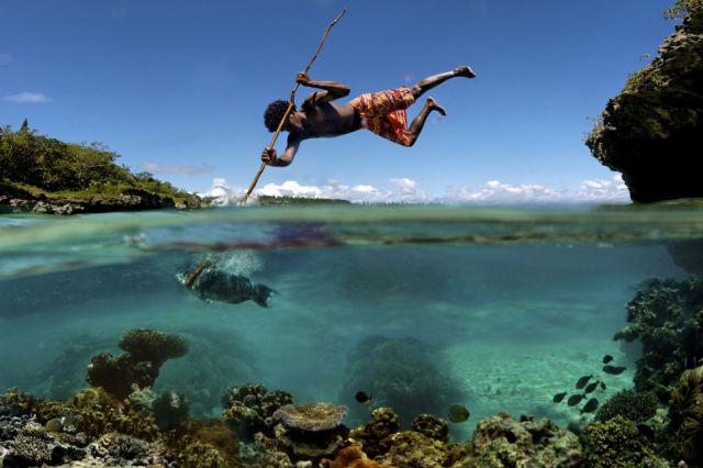 Stunning Photography Captures Life Above and Below the Water