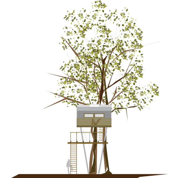 A Modern Treehouse That Is a Sanctuary in the Sky (13 pics)