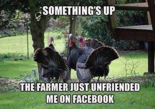 A Little Thanksgiving Humor to Brighten Your Day