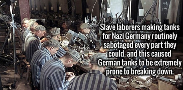 A Selection of Random Truths about Anything and Everything