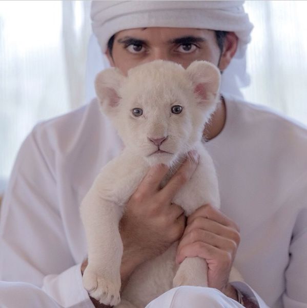 Dubai’s Crown Prince Has a Fun-filled Adventurous Lifestyle