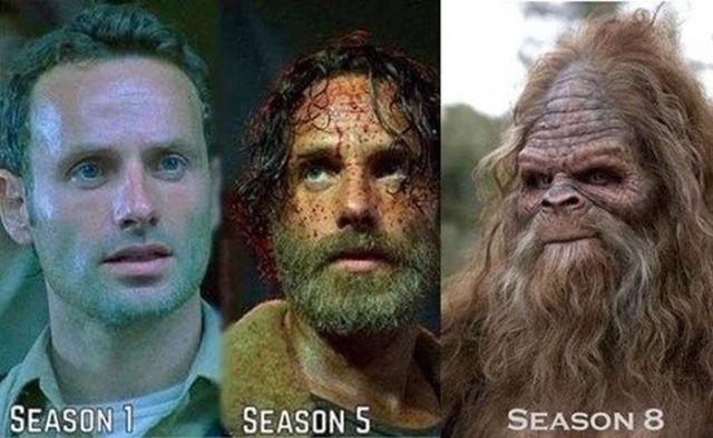 The Funniest “Walking Dead” Memes Inspired by Season 5