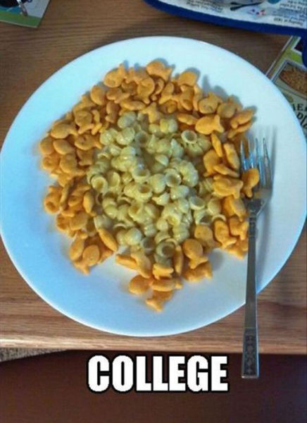 Pictures That Sum Up College Life Perfectly