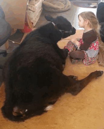 A Cute 5 Year Old Brings Home an Unexpected Guest
