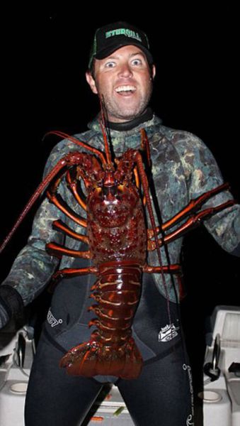 Now This Is One Massive Lobster!