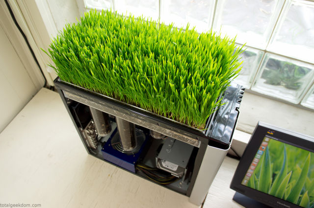 Wanna Grow Grass Over Your Computer?