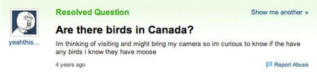 "Yahoo Answers" Some of the Stupidest Questions Ever Asked