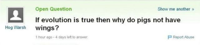 "Yahoo Answers" Some of the Stupidest Questions Ever Asked
