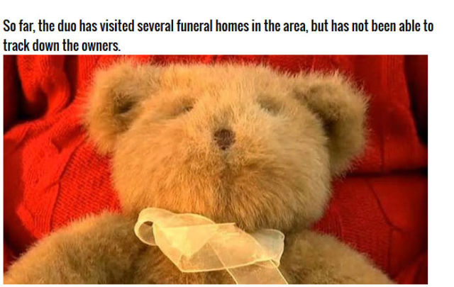 A Stuffed Bear’s Eerie Hidden Stash